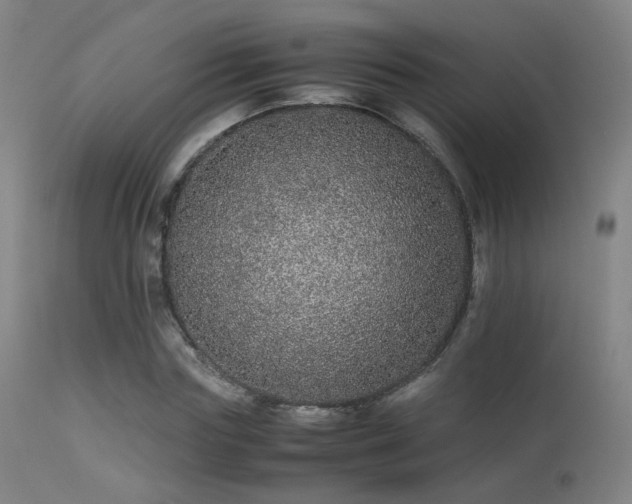 X0000113240827200909171600