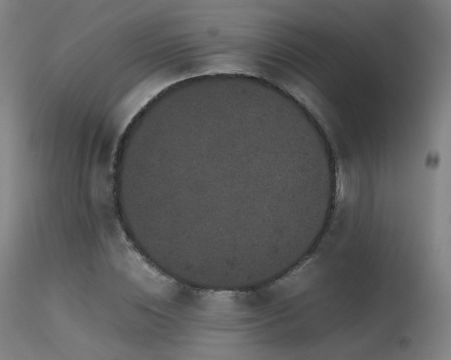 X0000113240828200909171600