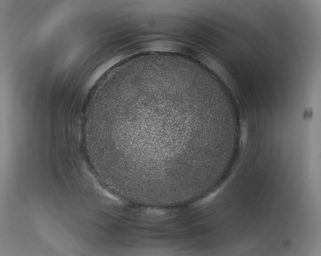 X0000113240829200909171600