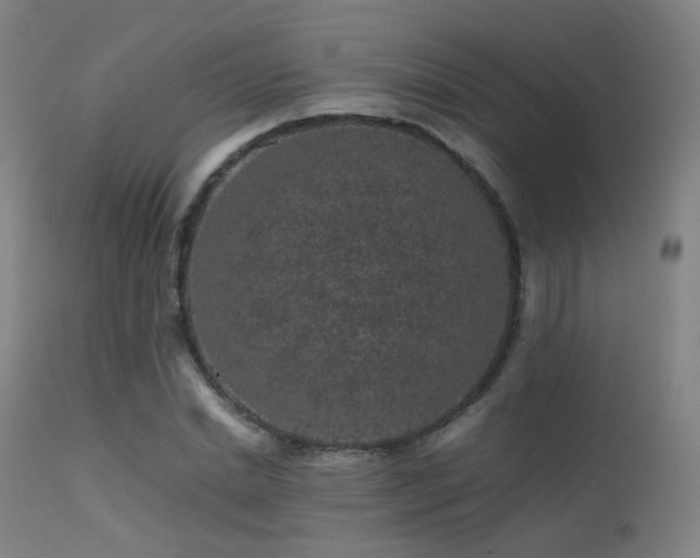 X0000113240830200909171600