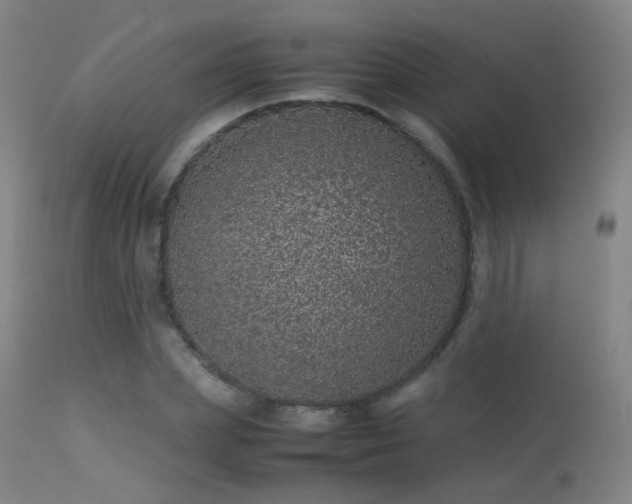 X0000113240831200909171600