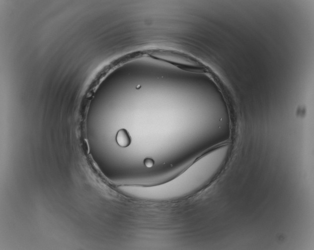 X0000113240832200909171601