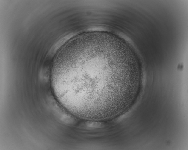 X0000113240833200909171601