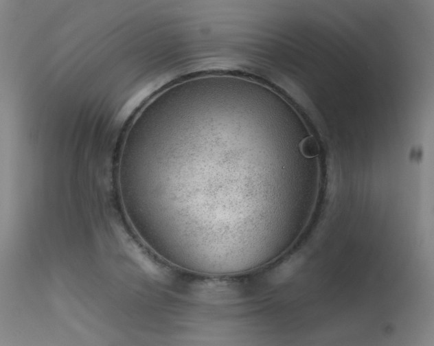 X0000113240834200909171601