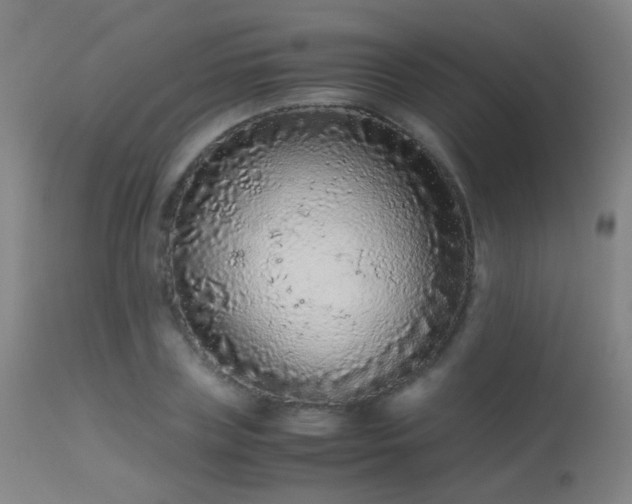 X0000113240835200909171601