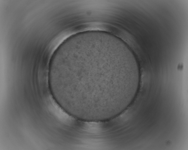 X0000113240836200909171601