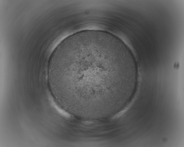 X0000113240837200909171601