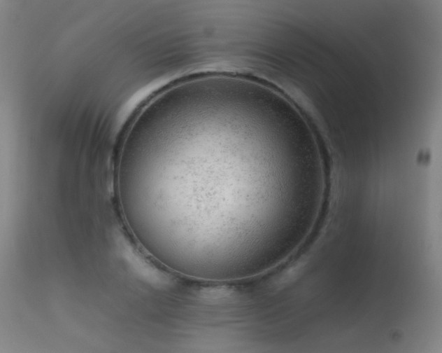 X0000113240838200909171601