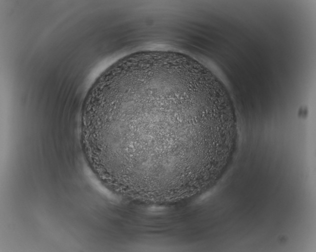 X0000113240839200909171601