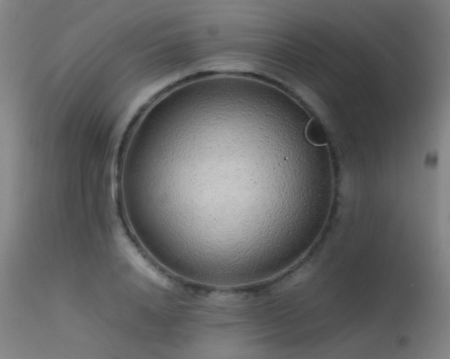 X0000113240840200909171601