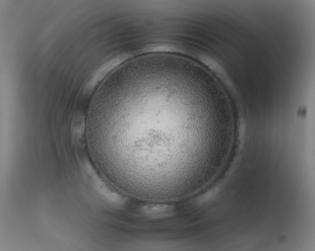 X0000113240841200909171601