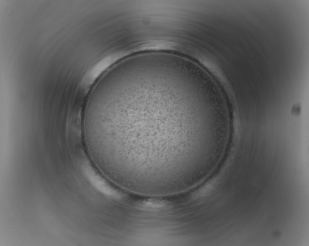 X0000113240842200909171601