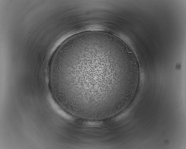 X0000113240843200909171601