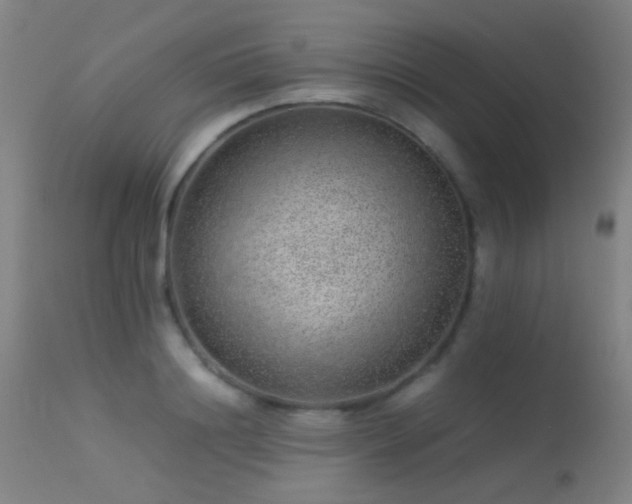 X0000113240844200909171601