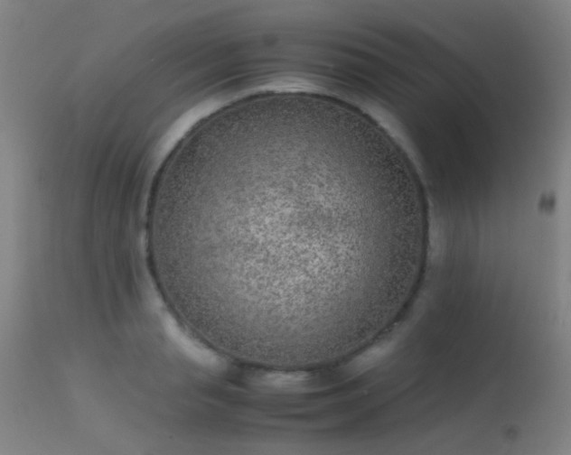 X0000113240845200909171601