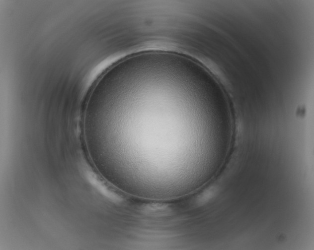 X0000113240846200909171601