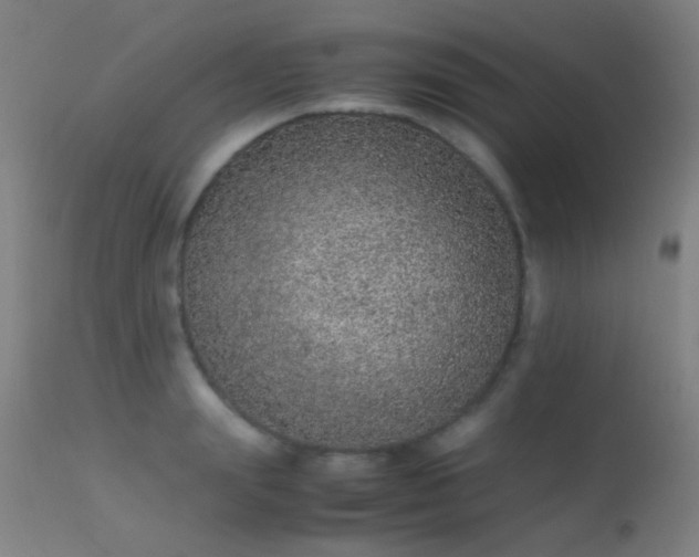 X0000113240847200909171601