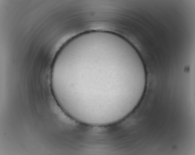 X0000113240848200909171601