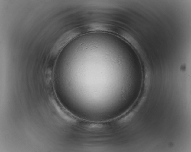 X0000113240849200909171601