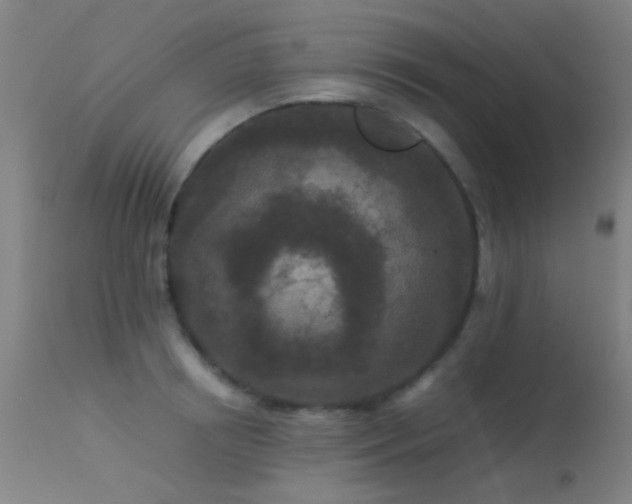 X0000113240850200909171601