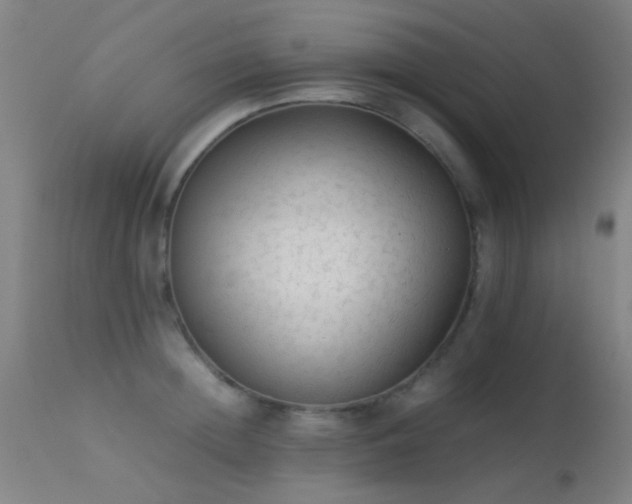 X0000113240852200909171601