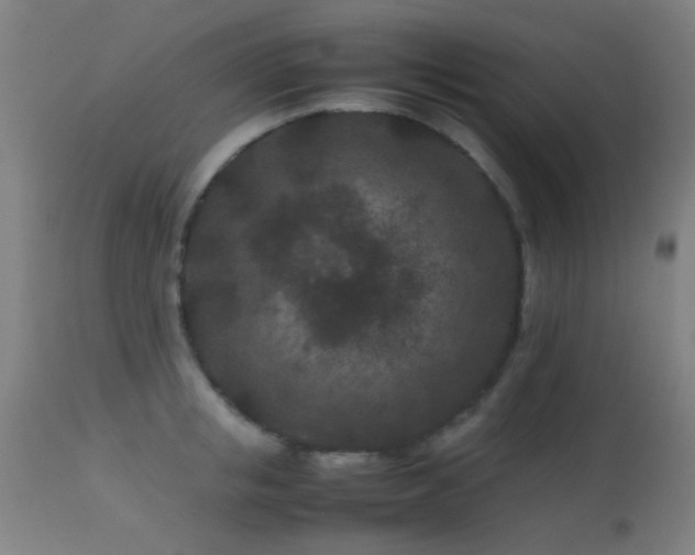 X0000113240853200909171601