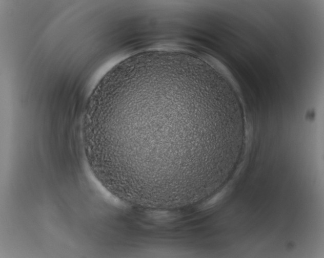 X0000113240855200909171601