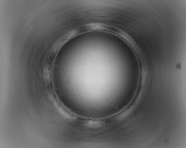 X0000113240857200909171601