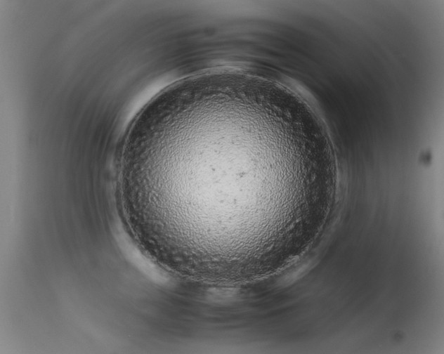 X0000113240859200909171601