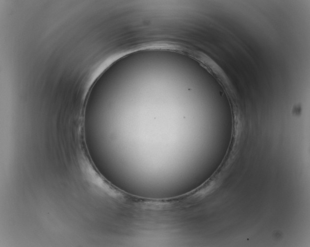 X0000113240860200909171601