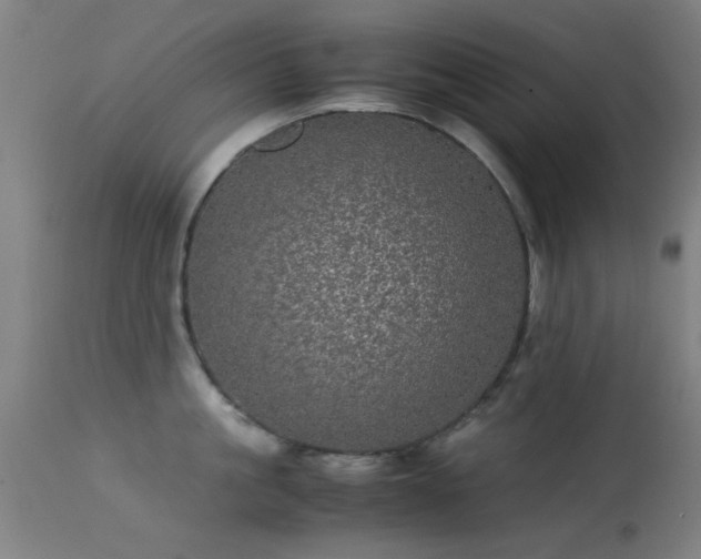 X0000113240861200909171601