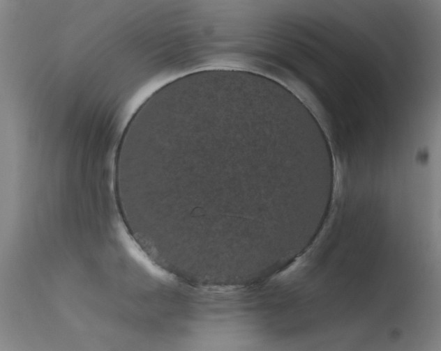 X0000113240862200909171601