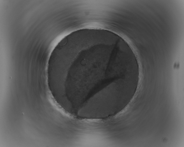 X0000113240864200909171601