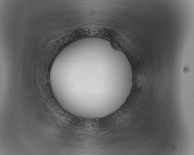 X0000113240865200909171600