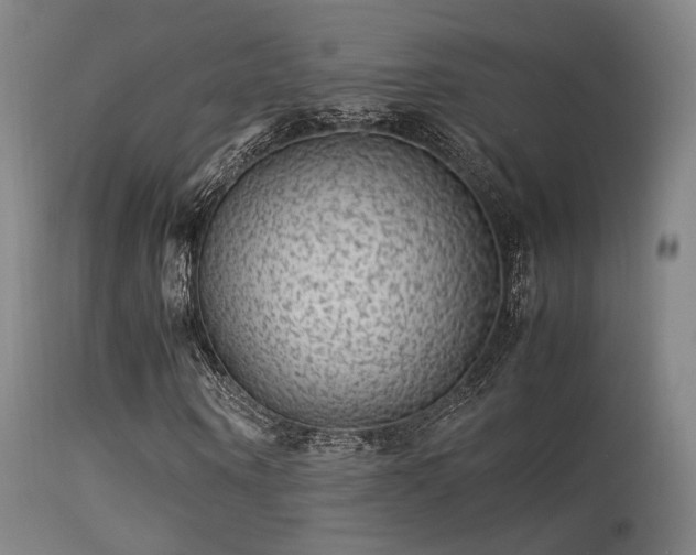 X0000113240866200909171600