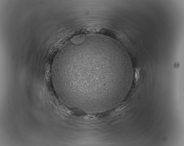 X0000113240867200909171600