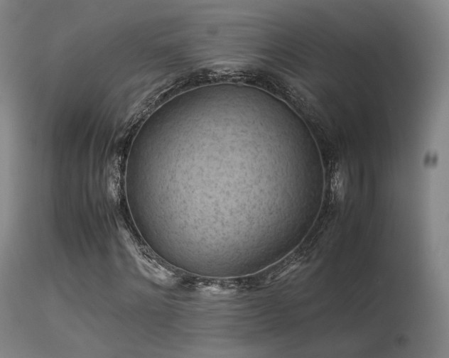 X0000113240868200909171600