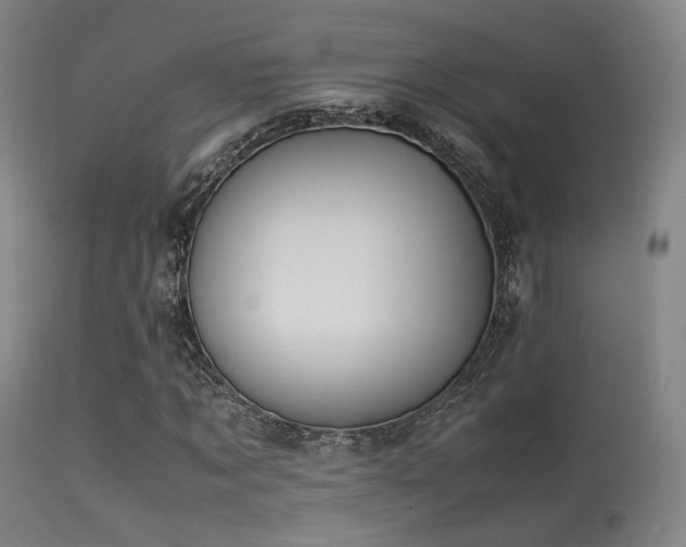 X0000113240869200909171600