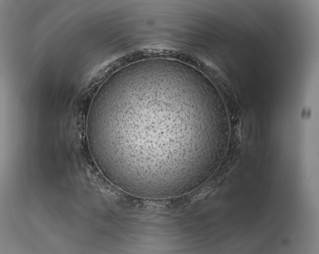 X0000113240870200909171600