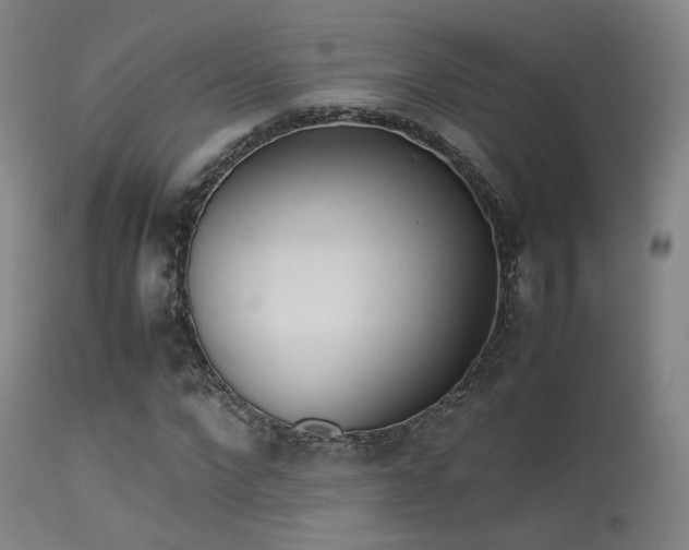 X0000113240872200909171600