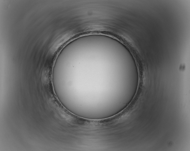 X0000113240873200909171600