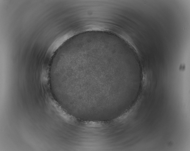 X0000113240874200909171600