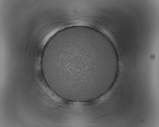 X0000113240875200909171600