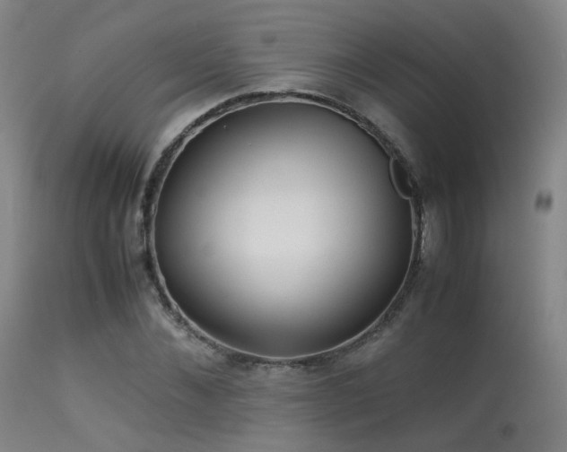 X0000113240876200909171600