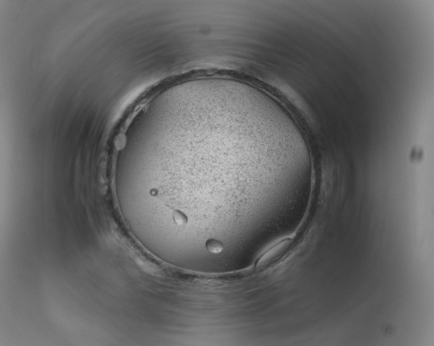 X0000113240878200909171600