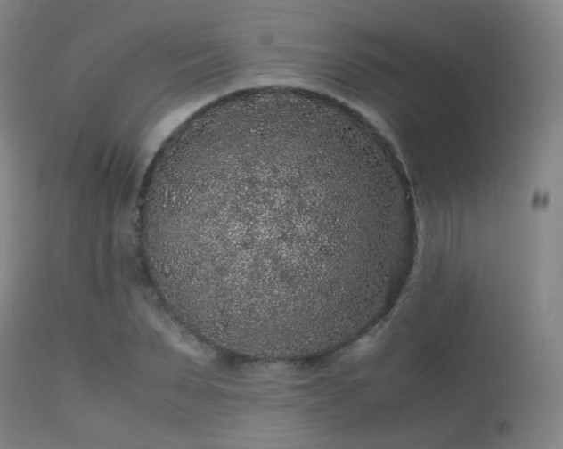 X0000113240879200909171600