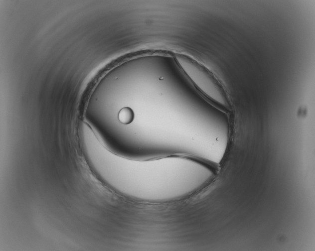 X0000113240880200909171600