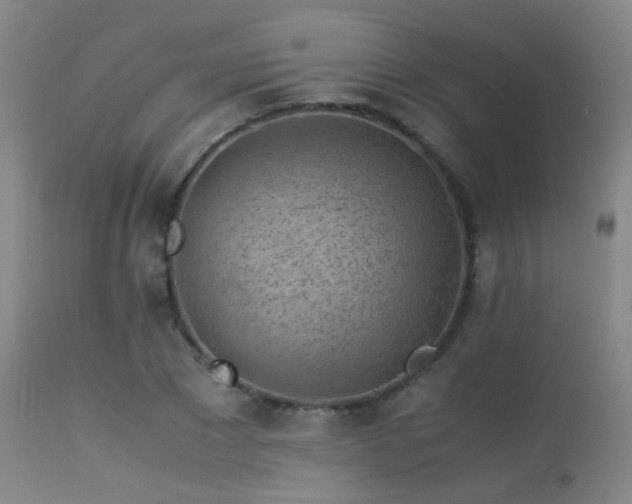 X0000113240881200909171600