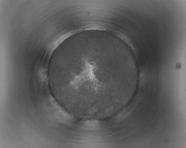 X0000113240882200909171600