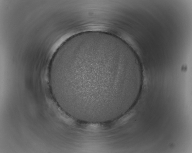 X0000113240883200909171600